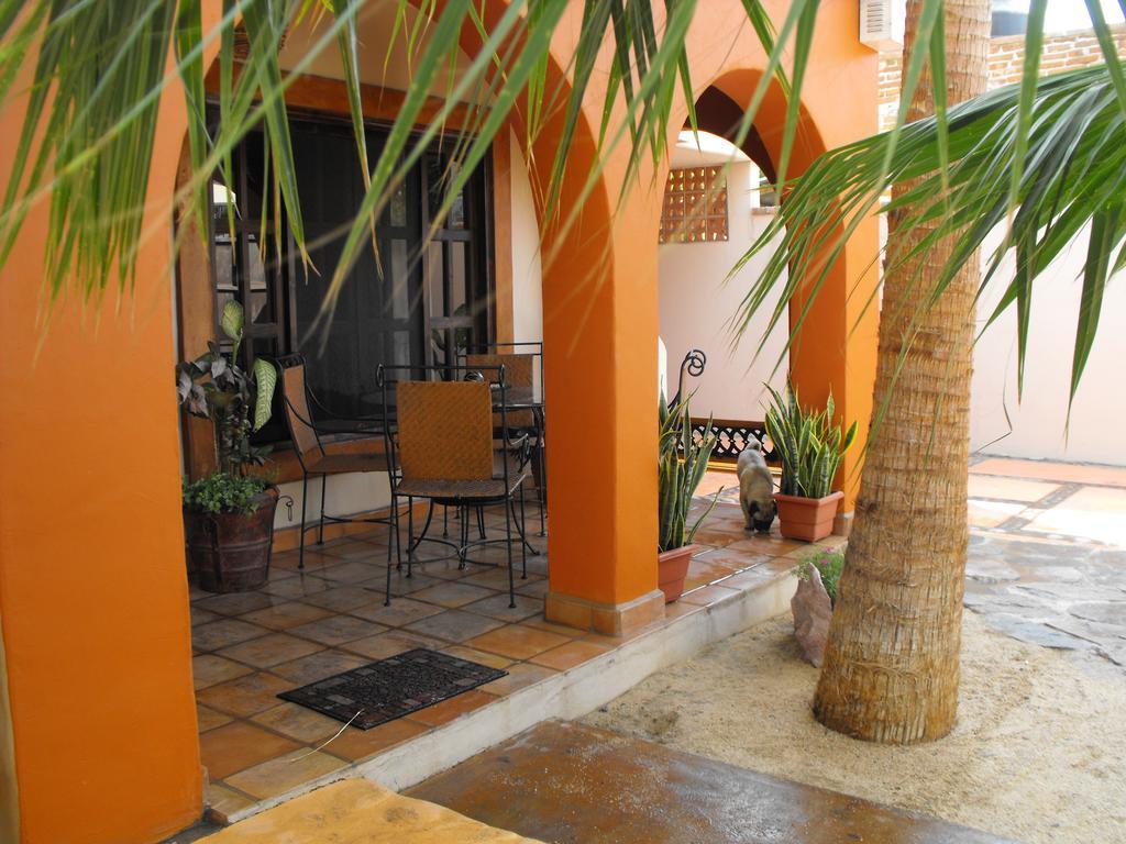 Leo'S Baja Oasis Hotel La Paz Room photo